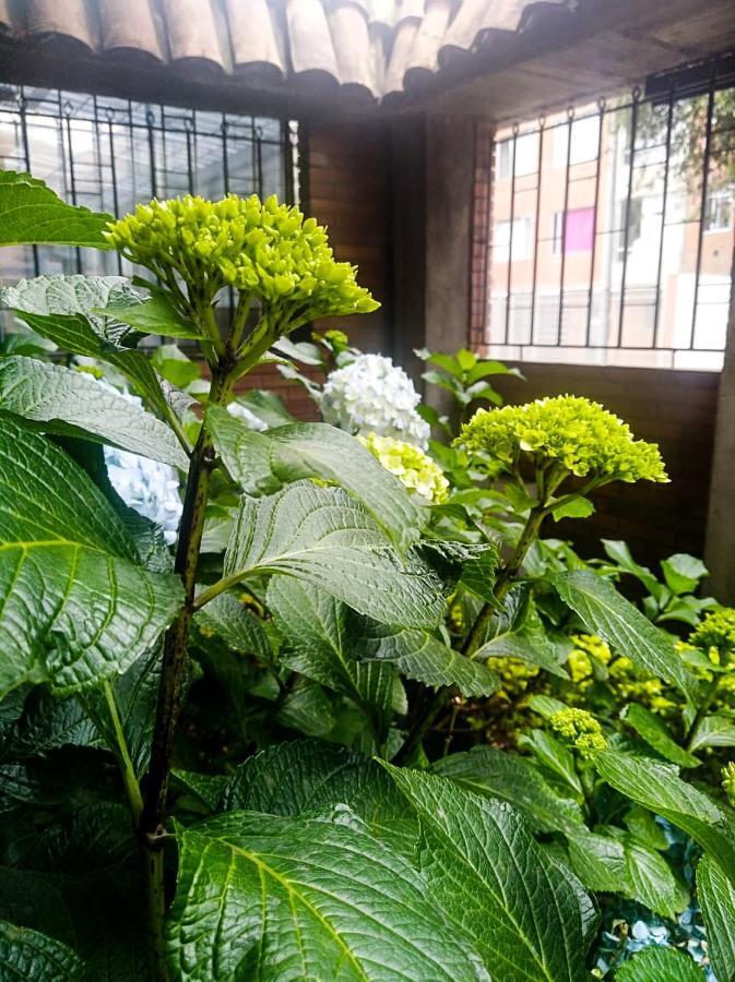 Hotel Atelier 보고타 외부 사진