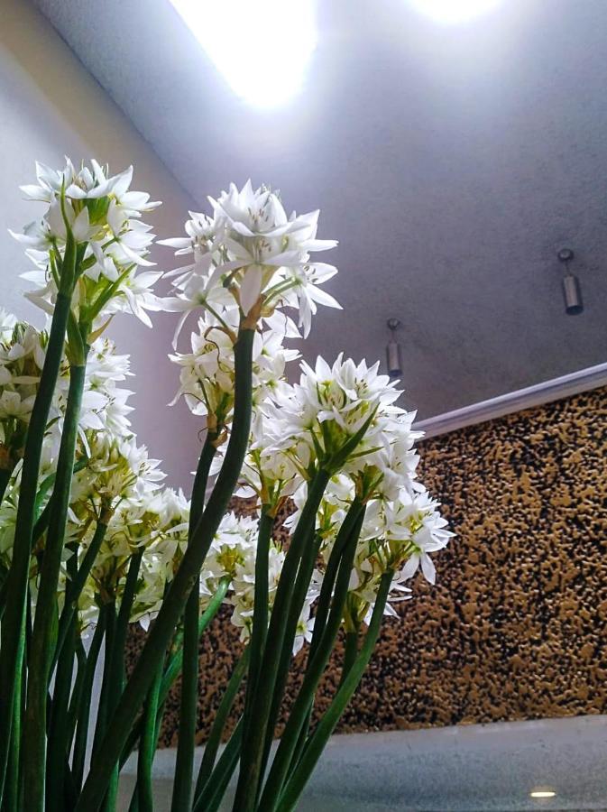 Hotel Atelier 보고타 외부 사진